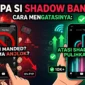 Apa Si Shadow Ban